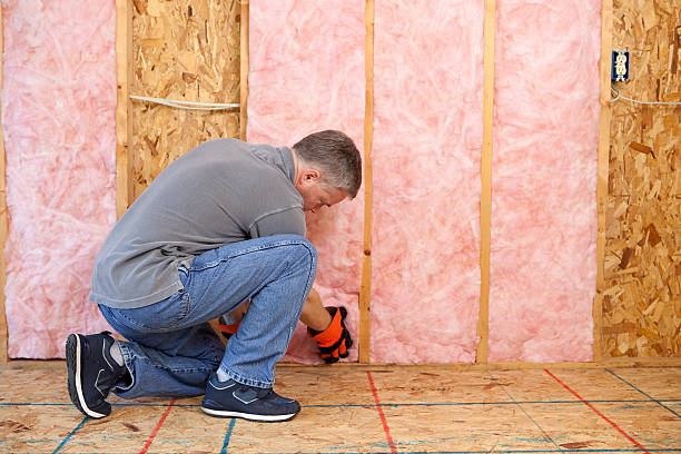 Best Insulation for Existing Homes  in Warsaw, IL